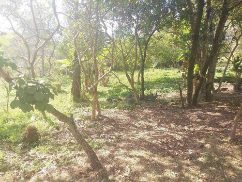 Terreno Residencial Ou Comercial 19.970m2 Para Venda, Parque Campolim, Sorocaba. - Te0115