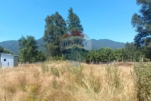 Venta Parcela De Campo Catripulli, Curarrehue