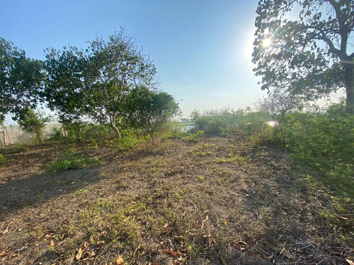 Venta Terreno 3000 M² Juana Moza Frente Al Rio Tuxpan Veracruz
