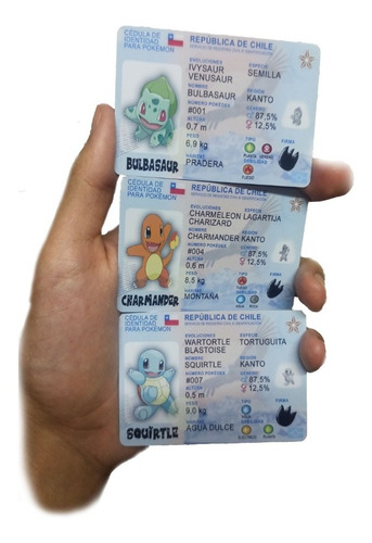 Pack Tarjetas Carnet Pokemon Squirtle Charmander Bulbasaur