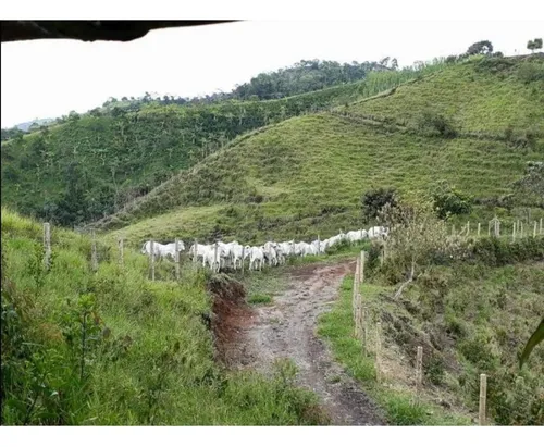 Venta De Finca En Vereda Paramillo, Fresno, Tolima
