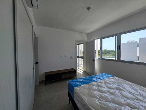 Apartamento Amueblado En Downtown En Renta/alquiler