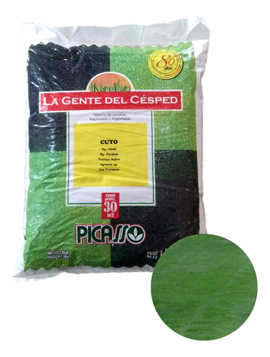 Semillas De Césped Picasso Cuyo 1kg