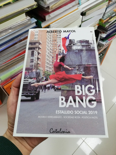 Libro Big Bang - Alberto Mayol 