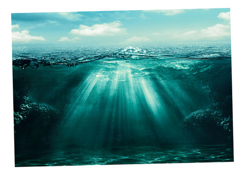 Cartel De Paisaje De Acuario 76x46cm