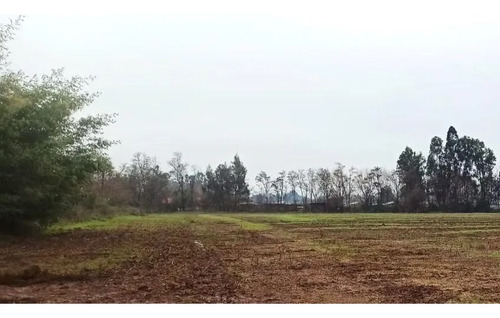 Terreno Agrícola En Venta, Campo De 16,4 Ha, San Clemente