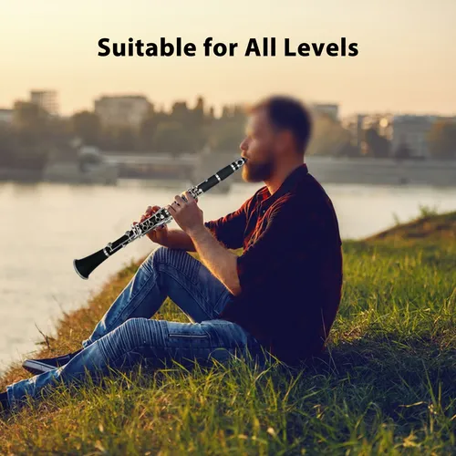 Clarinete Profesional De Viento De Madera Para Estudiantes D