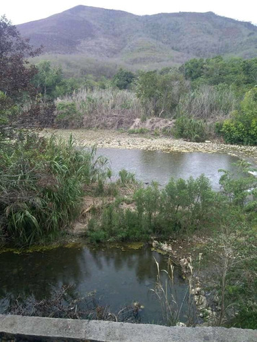 Imagen 13 de 14 de Eden Del Niño