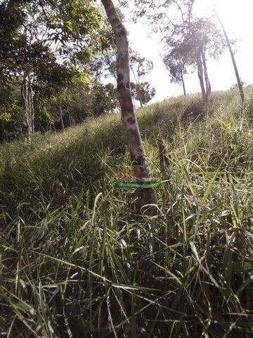 Imagem 3 de 8 de Sítio Com 1 Dormitório À Venda, 36000 M² Por R$ 200.000,00 - Zona Rural - Paraibuna/sp - Si0255