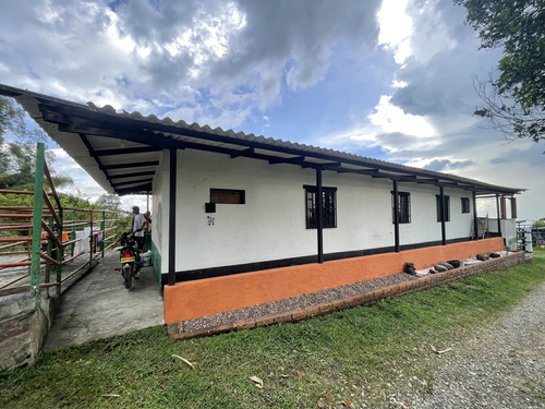 Se Vende Finca Ganadera En Filandia Quindio