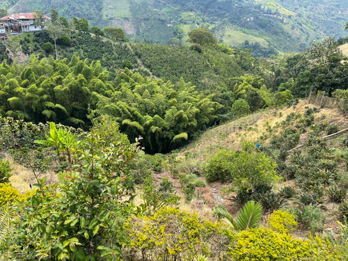 Casa En Venta En Bajo Tablazo / Manizales (279056121).