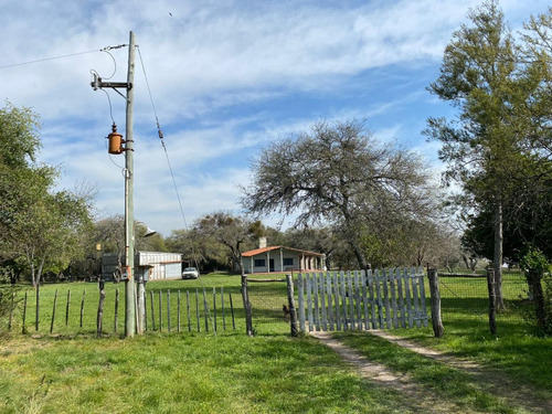 Arriendo /alquilo En Colonia Celina Entre Rios , Sobre El Rio 5 1/2 Hectareas