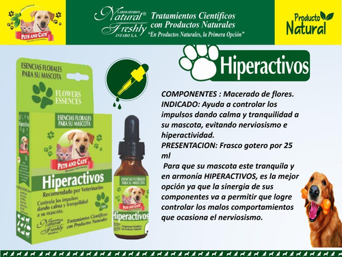 Esencias Florales Para Mascotas Equilibra Su Comportamiento