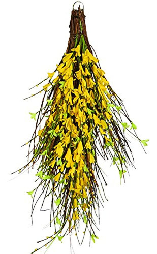 Por Valor De Las Importaciones 26  Forsythia Ramita Lágrima