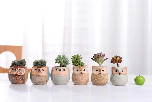 Imagen 8 de 10 de Macetas Mini Lapiceros X6 Unidades Ceramica Diseño Buhos