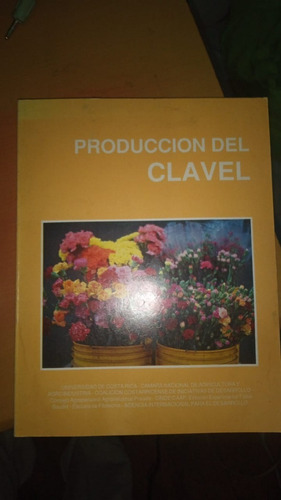 Produccion Del Clavel