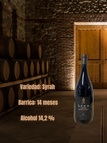 Vino Luca Double Select Syrah Laura Catena Mendoza
