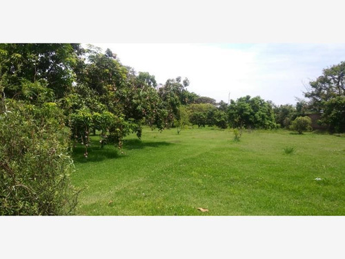 Terreno En Venta Jose G Parres