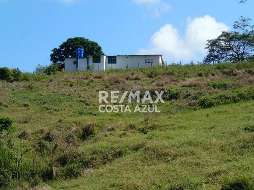 Remax Vende Finca De 80 Hectáreas A Desarrollar Precio De Oportunidad, Sector Riecito, Estado Falcon.