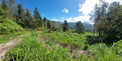 Gran Lote De Terreno En Urbanización Cerrada