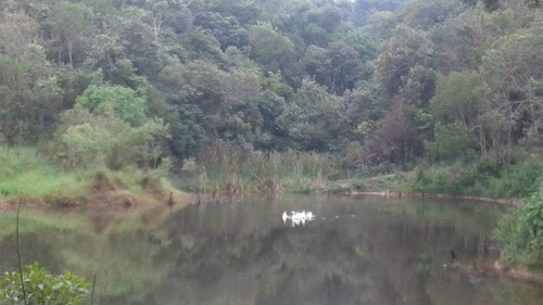 Imagem 3 de 7 de Terreno 1.000 M² Cercado Em Ibiúna - Cód.003