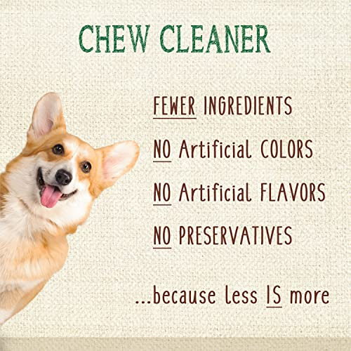 Dental Chew Treats Nylabone Nutri Dent Sabor A Aliento Fresc