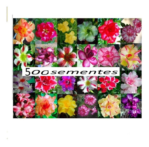 500 Sementes De Rosa Do Deserto Adenium Obesum) Importada 