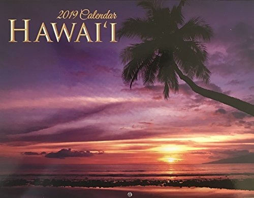 Calendario De Hawái 2019 12 Meses Todas Las Escenas De Agua