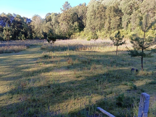 En El Temporal, Ideal Para Tu Rancho.