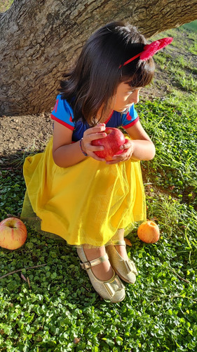 Vestido Princesa Blanca Nieves Snow White Tull Disney Nena