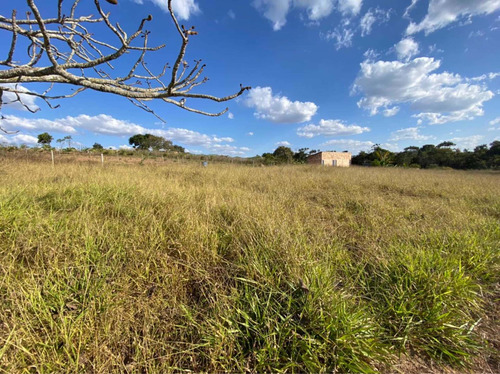 Imagem 7 de 14 de Chácara Em Vianopolis Goiás