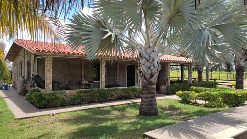 Imagen 7 de 8 de Venta De Espectacular Finca Productiva En Guárico - Inmobiliaria Maggi 1246