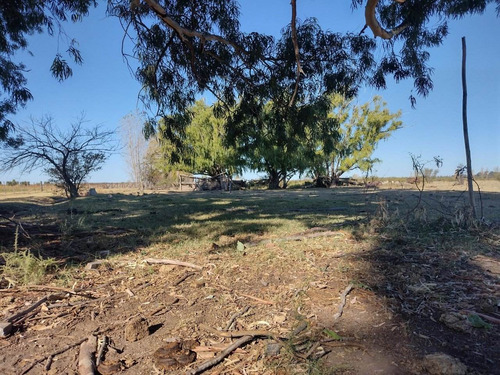 Vendo Finca Ideal Feedlot