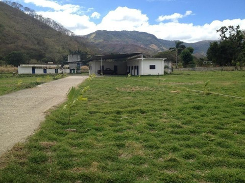 Imagen 4 de 12 de Terreno En Venta En La Arc, El Consejo Dvm 22-15689
