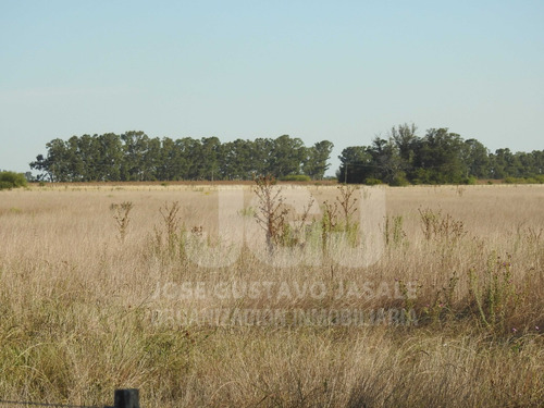 Jasale Vende 45 Has Agroganaderas En Ignacio Correas