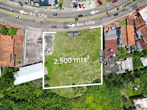Terreno En La Avenida Ula En Venta