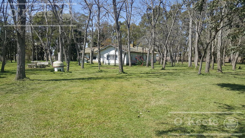 Chacra En Venta De 34 Has En Lezama. Ideal Para Producir Y Disfrutar
