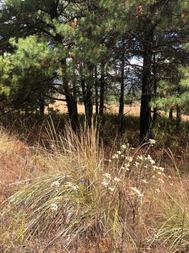 Imagen 12 de 24 de Terreno En Venta En Amanalco De Becerra, Amanalco, Edo. De México.