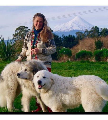 Vendo Cachorra !!! Gran Pirineo Inscrita En Kennelclub 