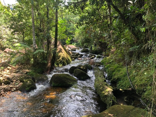 Imagem 1 de 11 de Ótima Oportunidade Terreno Localizado Na America De Cima, Morretes Pr ,medindo 6.976,76 M Á Venda Por R$250 Mil - Te0141