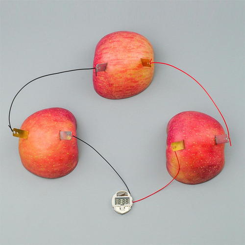 Fruit Battery Science Experiment Kits Reloj Digital