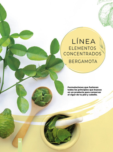 Shampoo Bergamota Elementos Concentrados Florigan® 1lt.