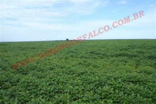 Imagem 7 de 23 de Venda - Fazenda - Zona Rural - Porto Dos Gaúchos - Mt - D0098