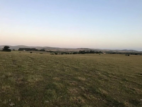 Chacras De 5 Hectareas Sobre Ruta 12