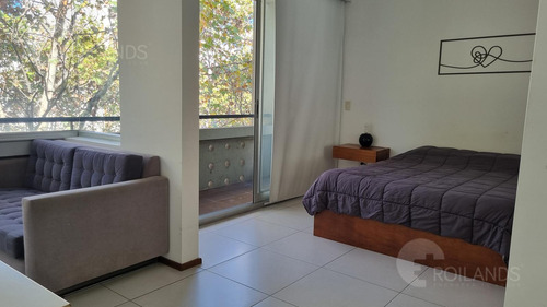 Alquiler Temporal Departamento Monoambiente Con Pileta En Palermo