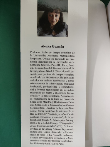 Propiedad Intelectual Y Capacidades De Innovación En La Indu