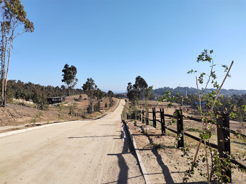 Maitencillo, Sitio De 5.625 Mts En Condominio
