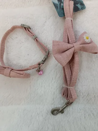 Collar Y Correa Para Perros