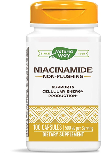 Naacinamide Niacinamida Vitamina B3 Importado