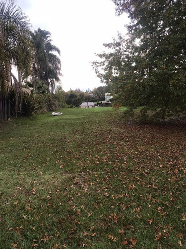 Imagen 17 de 27 de Lote Al Rio En Venta En Santa Maria De Tigre